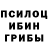 Псилоцибиновые грибы прущие грибы judy rigault