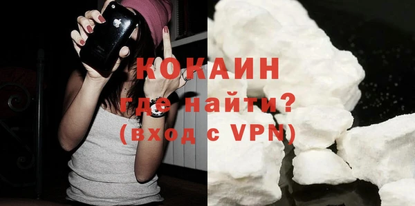 гидра Абаза