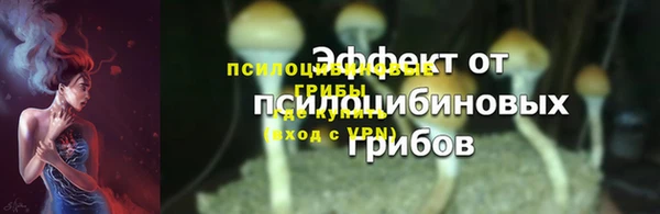 гидра Абаза